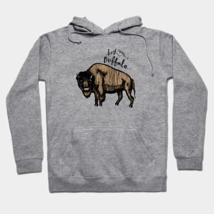 Hey There Buffalo Hoodie